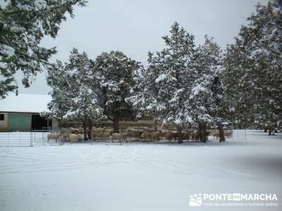 La Fuentona - Sierra de Cabrejas; club de senderismo en madrid; club senderismo